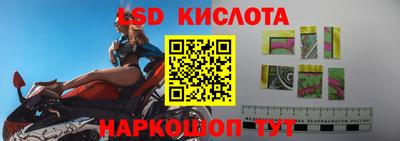 PSILOCYBIN Пугачёв